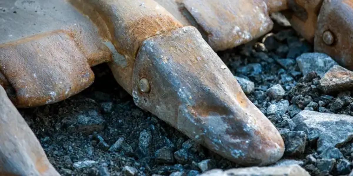 Tandsystem och skopskydd